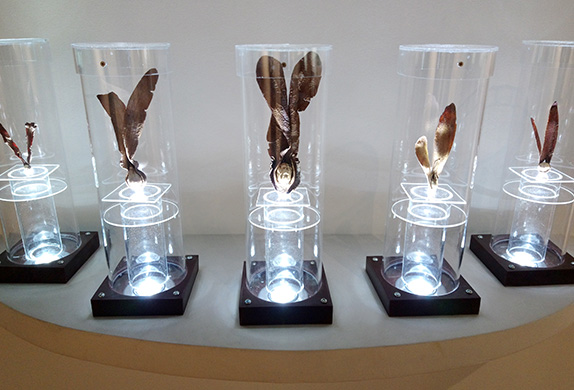 Expert Team & Core Capabilities